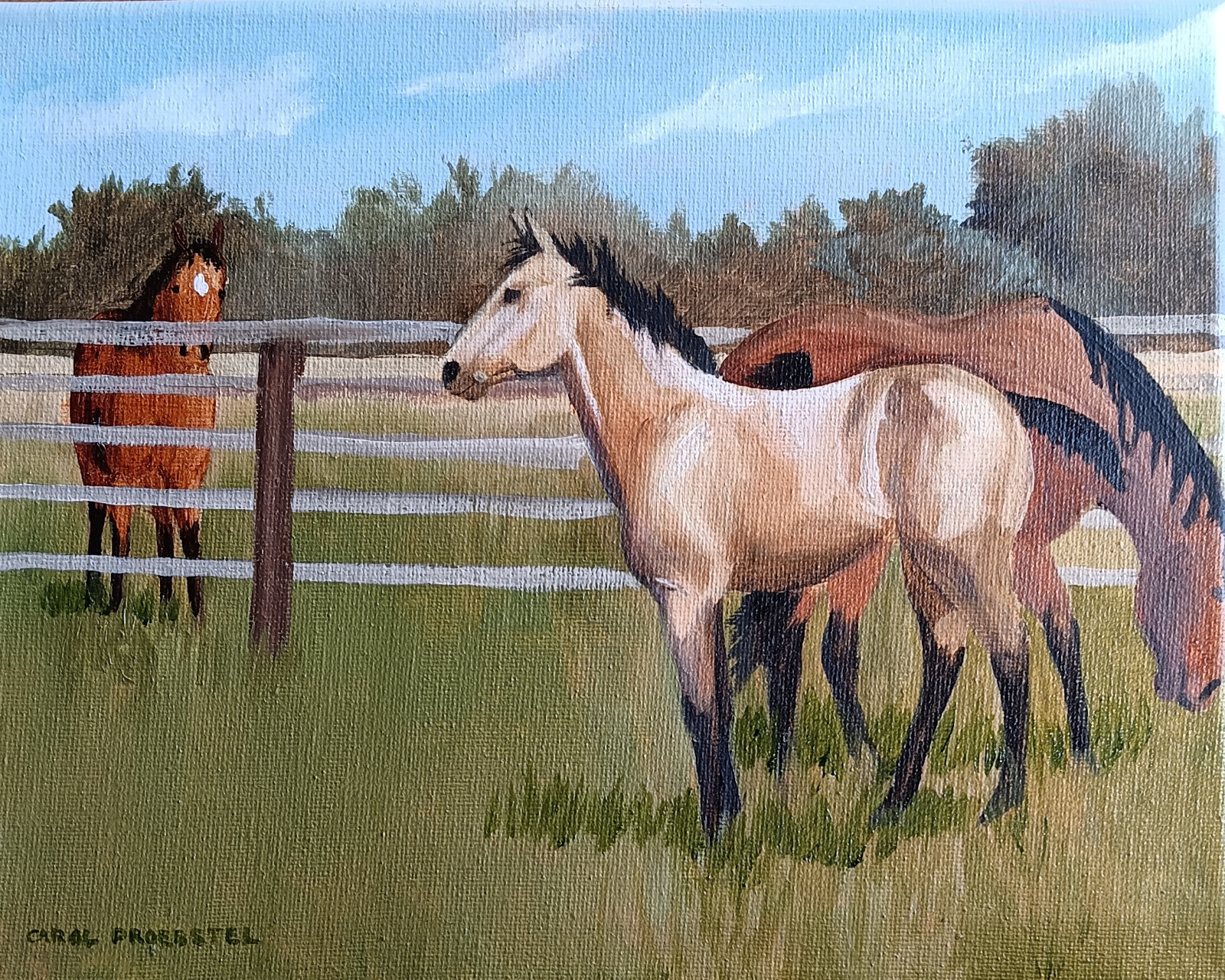 original oil painting western horse colt foal buckskin Carol Proebstel