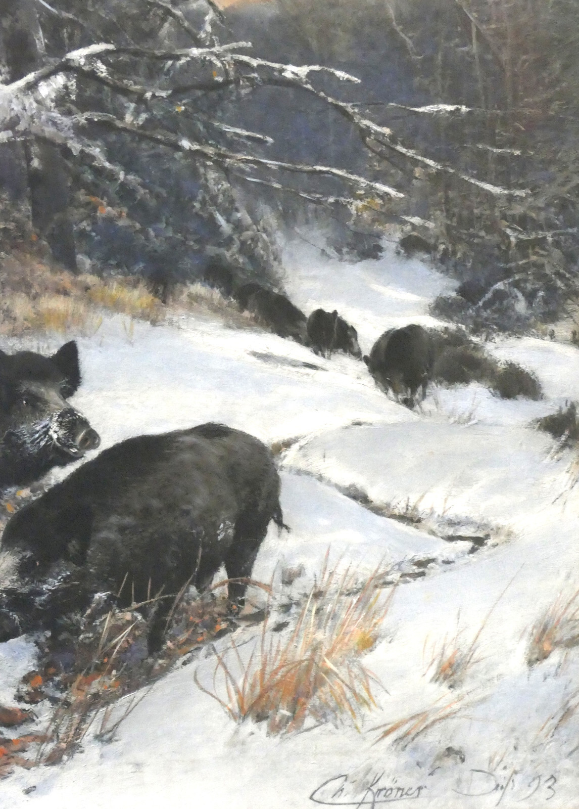 Christian Kröner Gouache – Paper «Wild Boar Rotto» 1893 Framed 53.5 x 37.5 cm