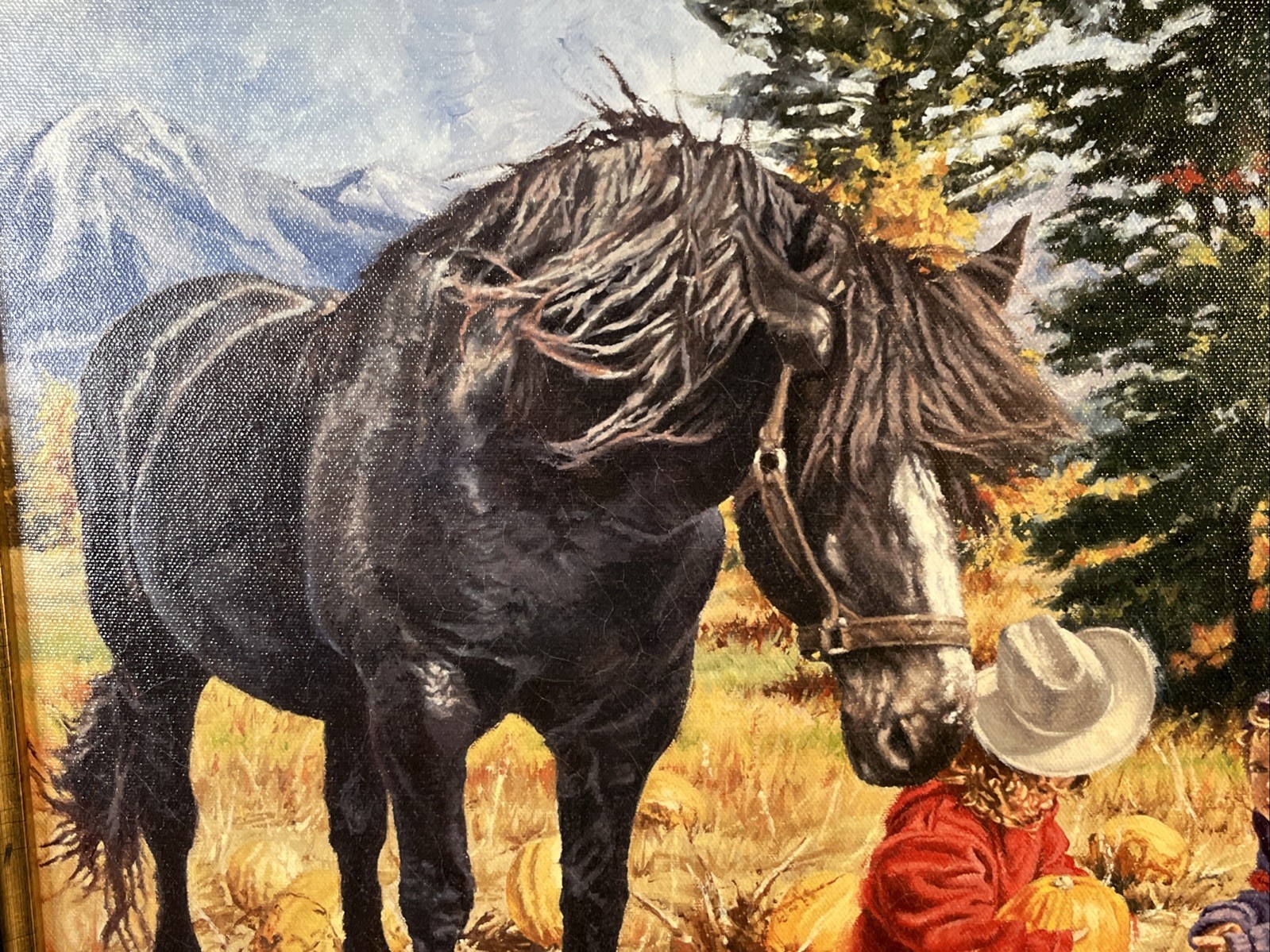 Carla D’Aguanno Limited Edition Canvas Print THERE GOES YOUR HAT Signed Framed