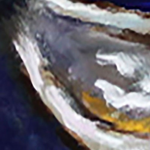 Demenko Natalia still life OYSTER Oil painting UKRAINE 8X12