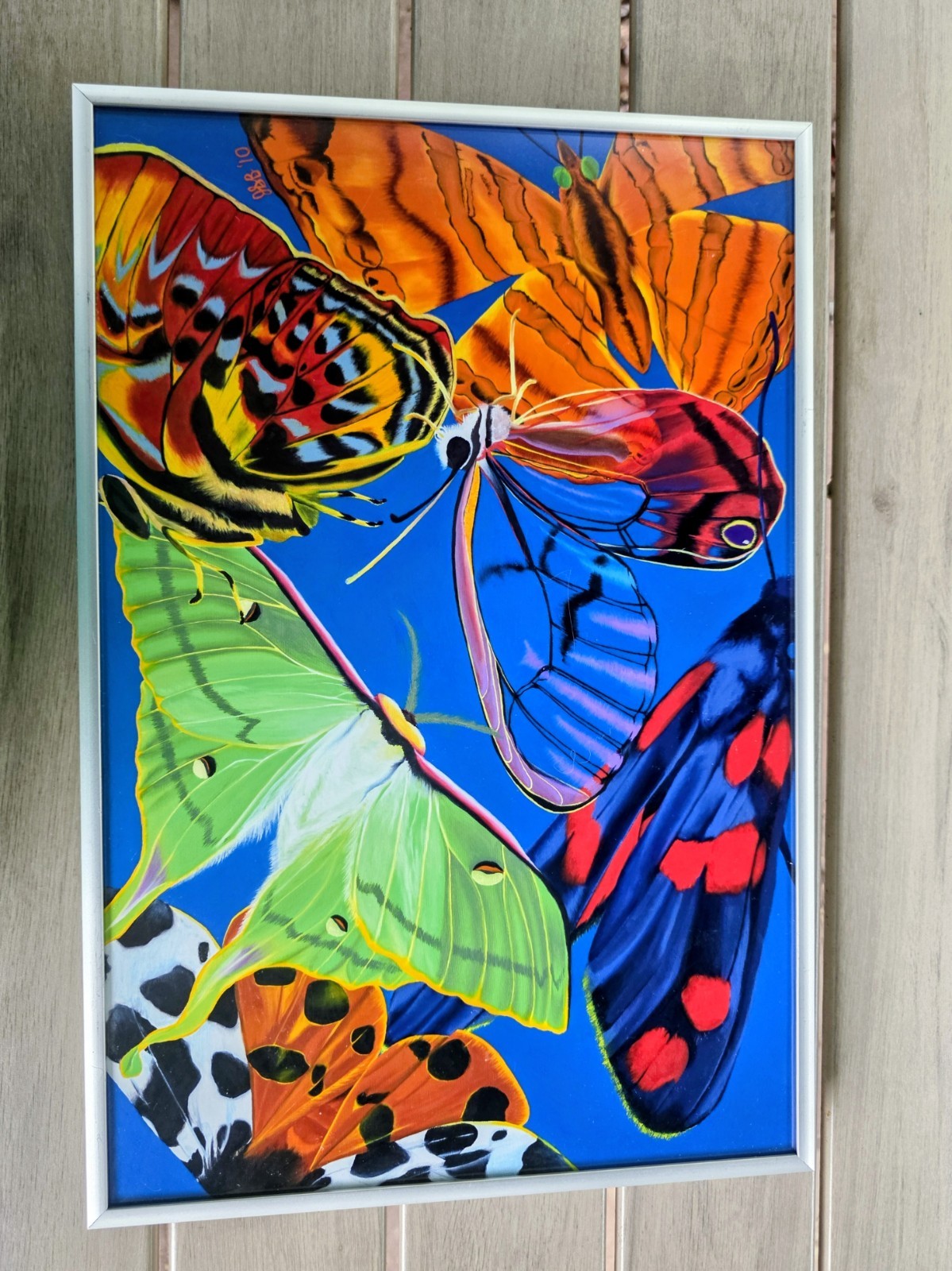 Jennifer Brewer Stone Art Prints Framed Set 3 Tropical Whirl Flutter Seadragon