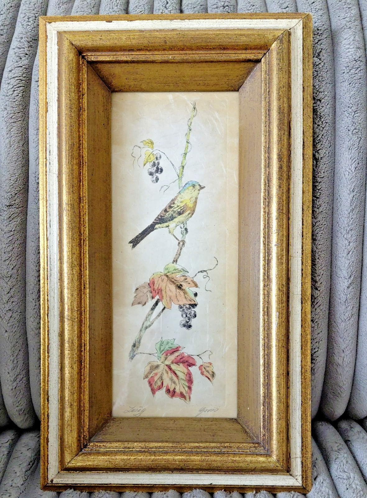 Vintage MCM Etching of Yellow Speckled Canary Signed Gold Gilded Frame