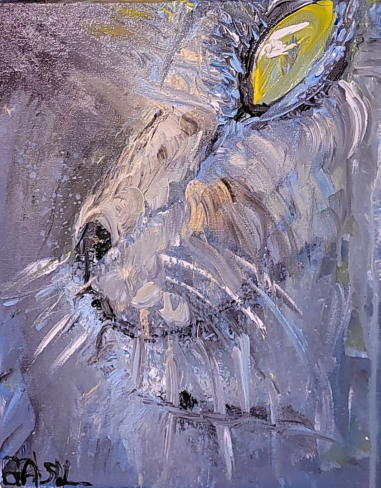 Cat Closeup Modern Expressionist Original Abstract Canvas 11×14 Painting