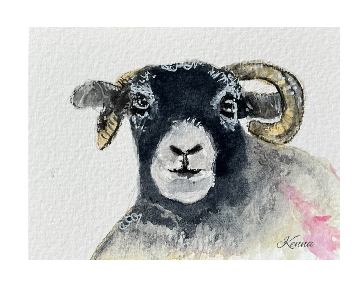 Aceo Original Watercolour Painting Of A Sheep 2.5” X 3.5” Signed By Kenna