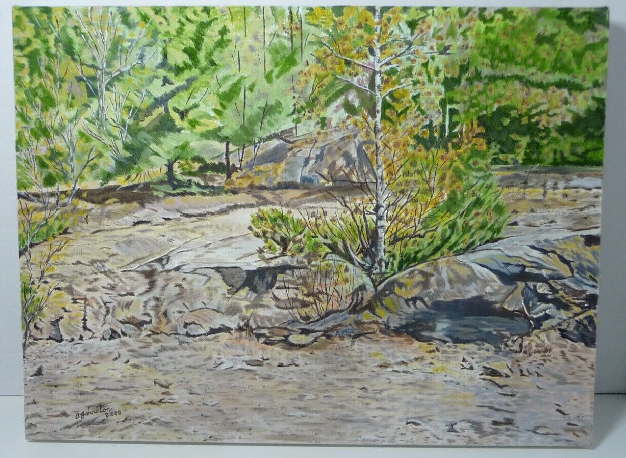 Oil Painting 16×12 Landscape By Catherine Johnston Wilderness 2000