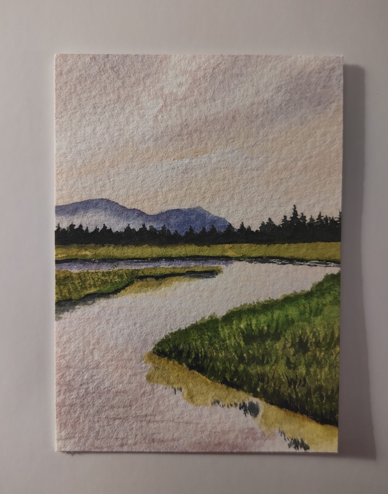 Small Realism Watercolor Landscape Painting River Mountains Trees Unframed