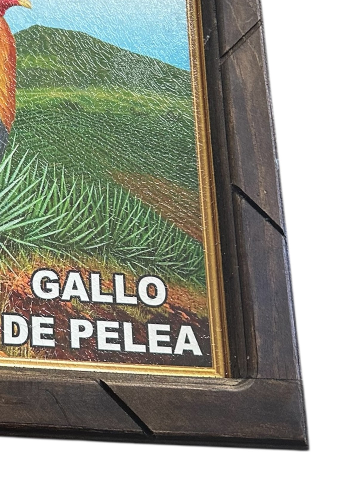 FRAMED PRINT ,18″ x 13″ , 1st Quality , ROOSTER , GALLO DE PELEA