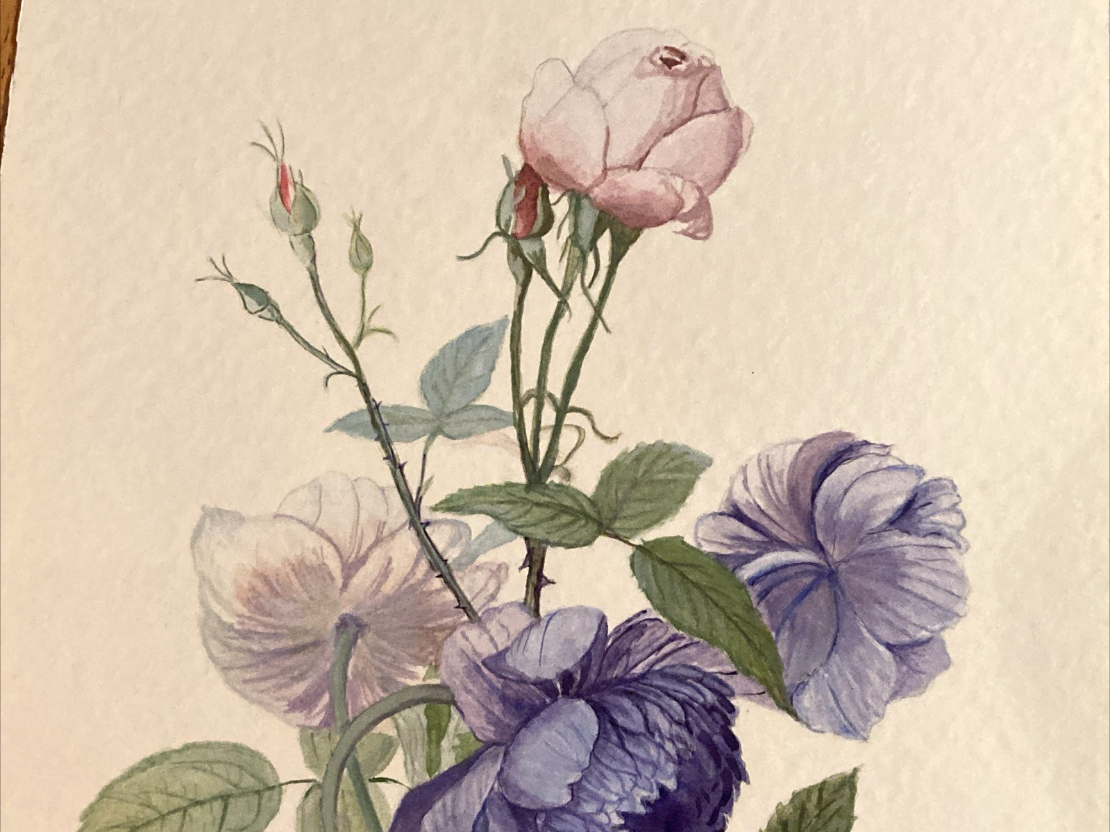 Pink Rose Purple Blue Peony Original Watercolor signed by June Hart 12″ x 9″