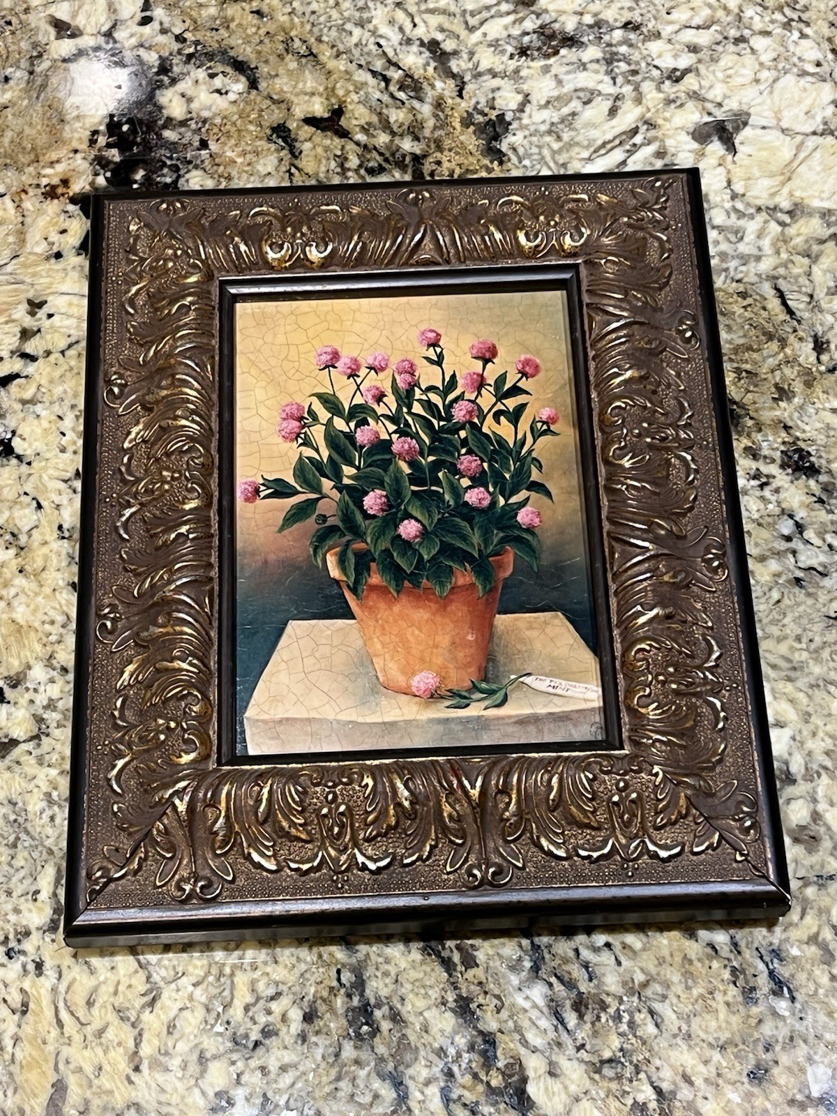 Signed European Pink Globe Amaranth Flowers Terracotta Pot Oleograph Framed Art