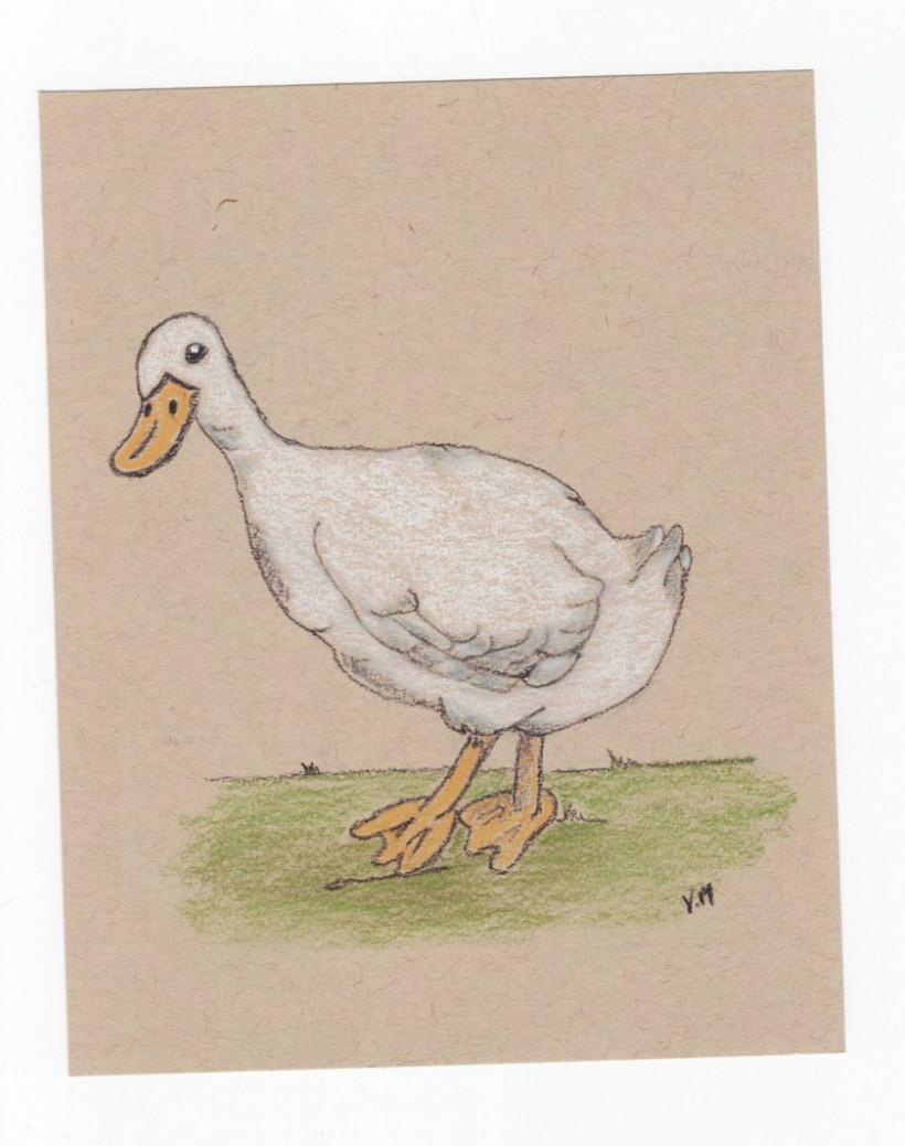Original Painting Soft Pastel White Duck Bird Wall Art OOAK Mini Painting 5 x 7