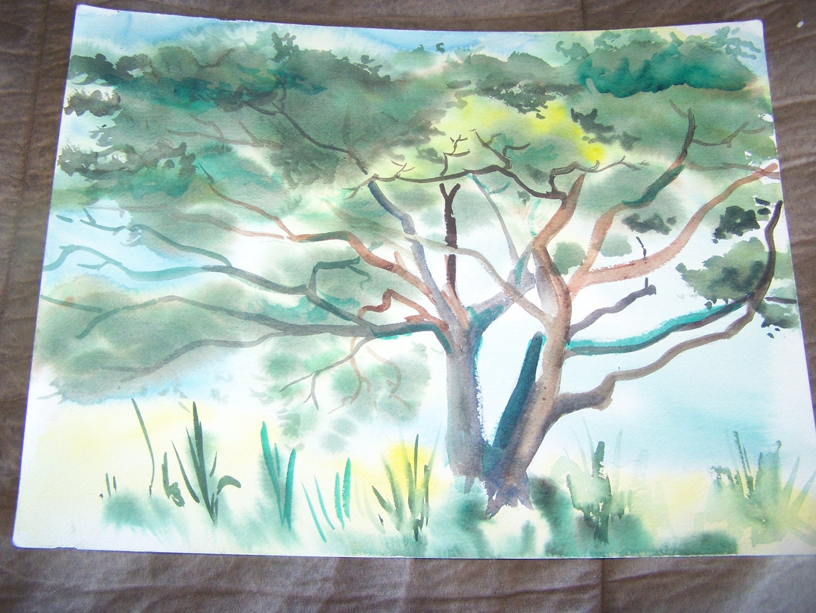 Original Watercolor By Peg Humphreys, Large Tree 16 1/4″ x 12 1/4″