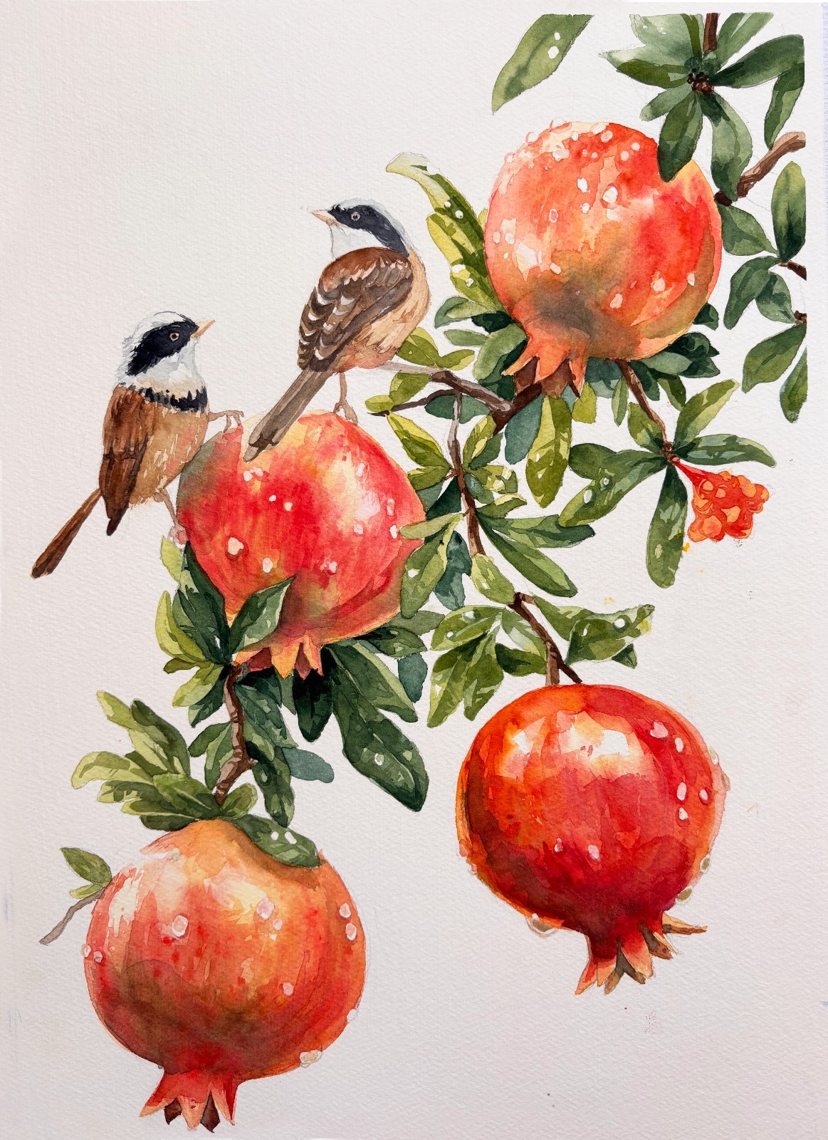 Original 11.7 x 16.5 inches Watercolor Painting «Two Birds in Pomegranate Tree»