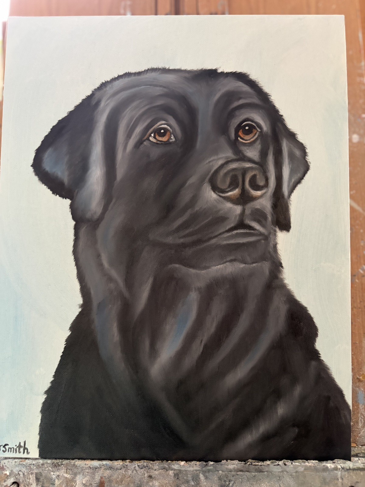 Original oil painting 11 x 14 inches handsome black Labrador retriever dog