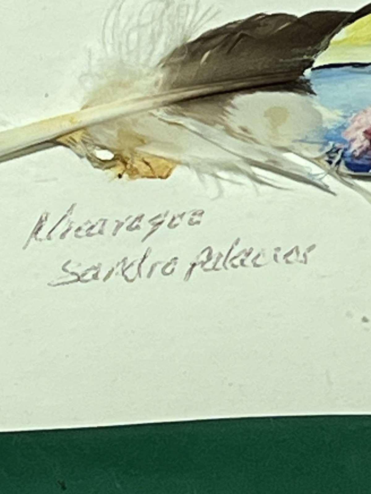 Framed Hand Painted Feather Signed By Artist