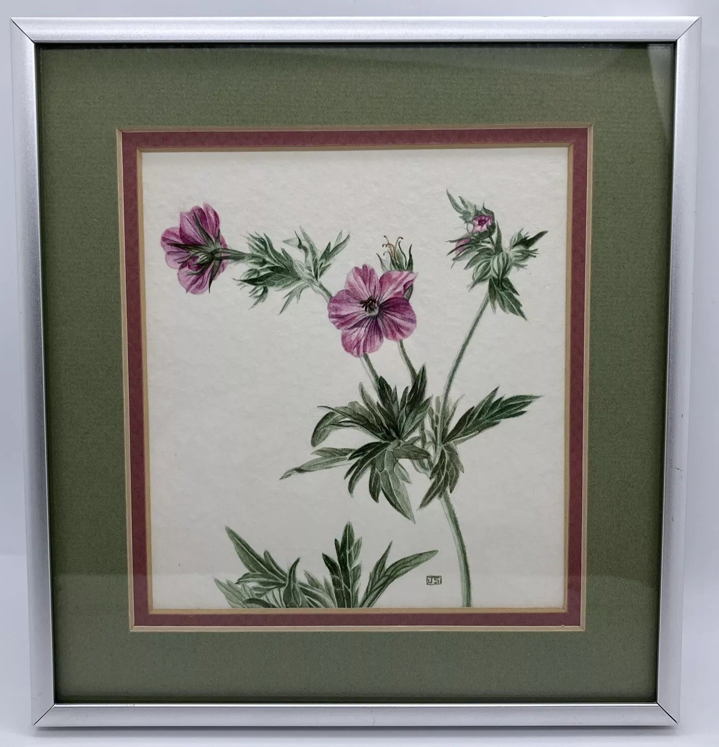 Watercolor Painting Botanical Sticky Geranium Framed NW Artist James Sagmiller