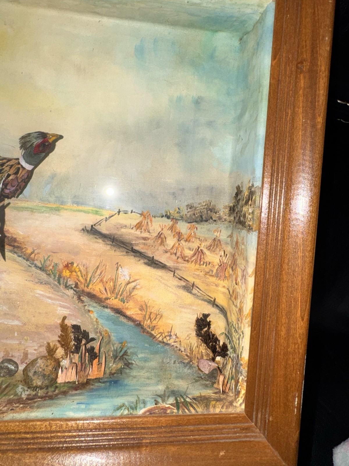 Mrs Willard H Doty Pheasant Shadow Box Diorama Folk Art Real Feather Bird