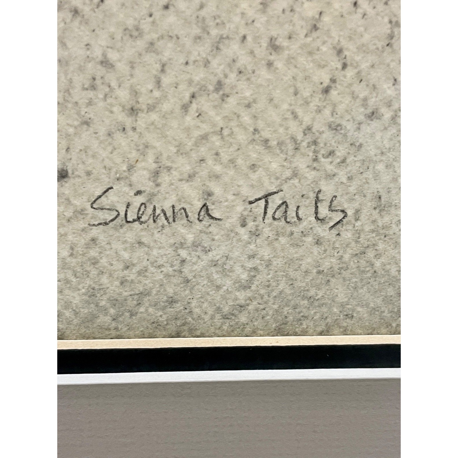 Earlene DeShon Hand Colored Etching Art ‘Sienna Tails’ Original Museum-quality