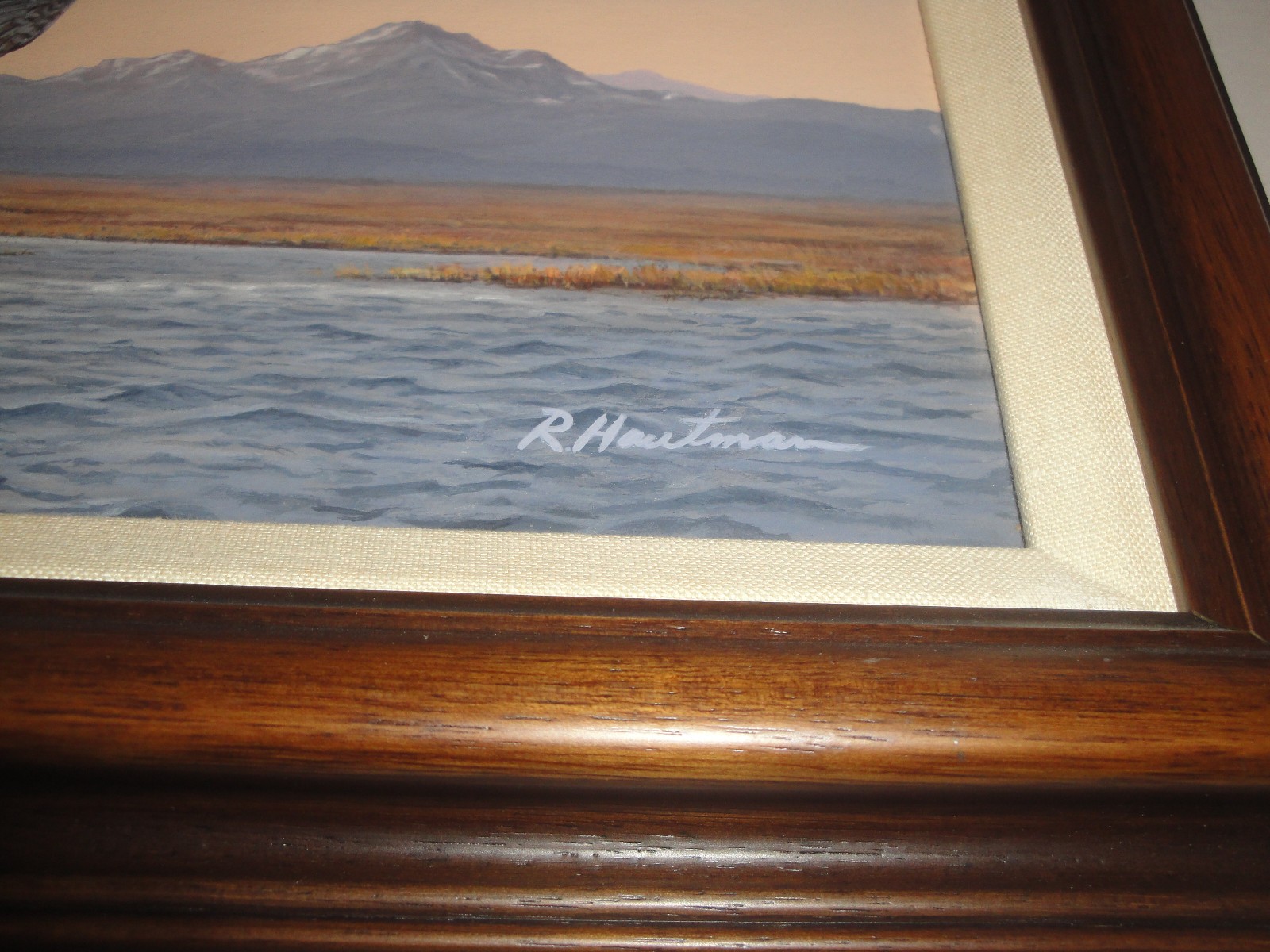 ORIGINAL Painting By Robert Hautman 1987 2nd Place Washington State Duck Stamp!