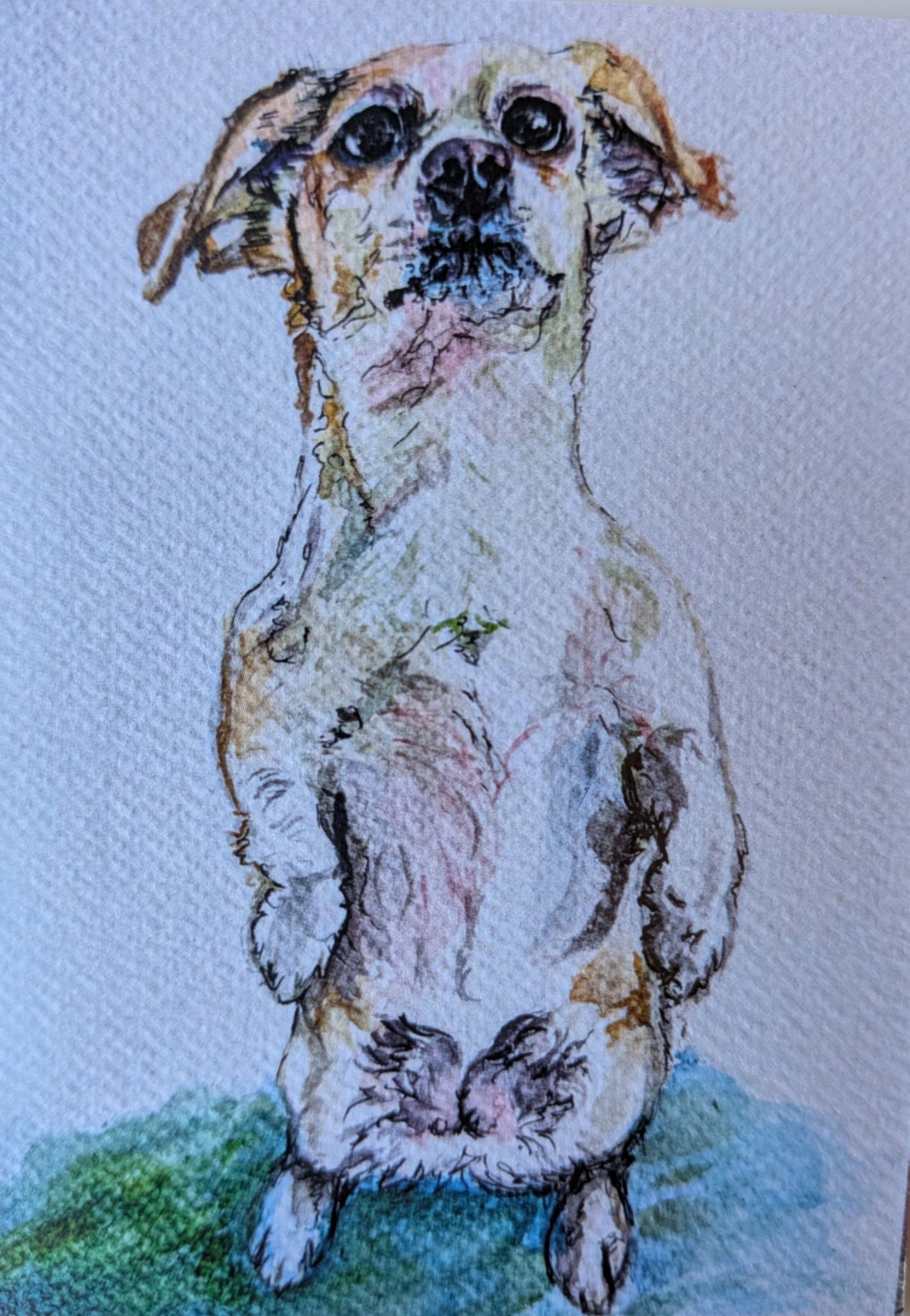 Aceo Quirky Lil Dog Limited Edition Print 1/5 Watercolor & Ink Signed 3.5 X 2.5