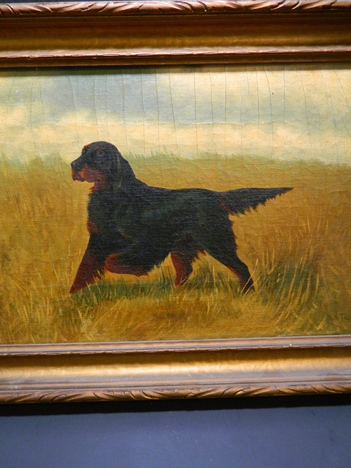 Antique Framed Gordon Setter Pointing Oil On Canvas Signed W.H. Thomas 16.75″ VG