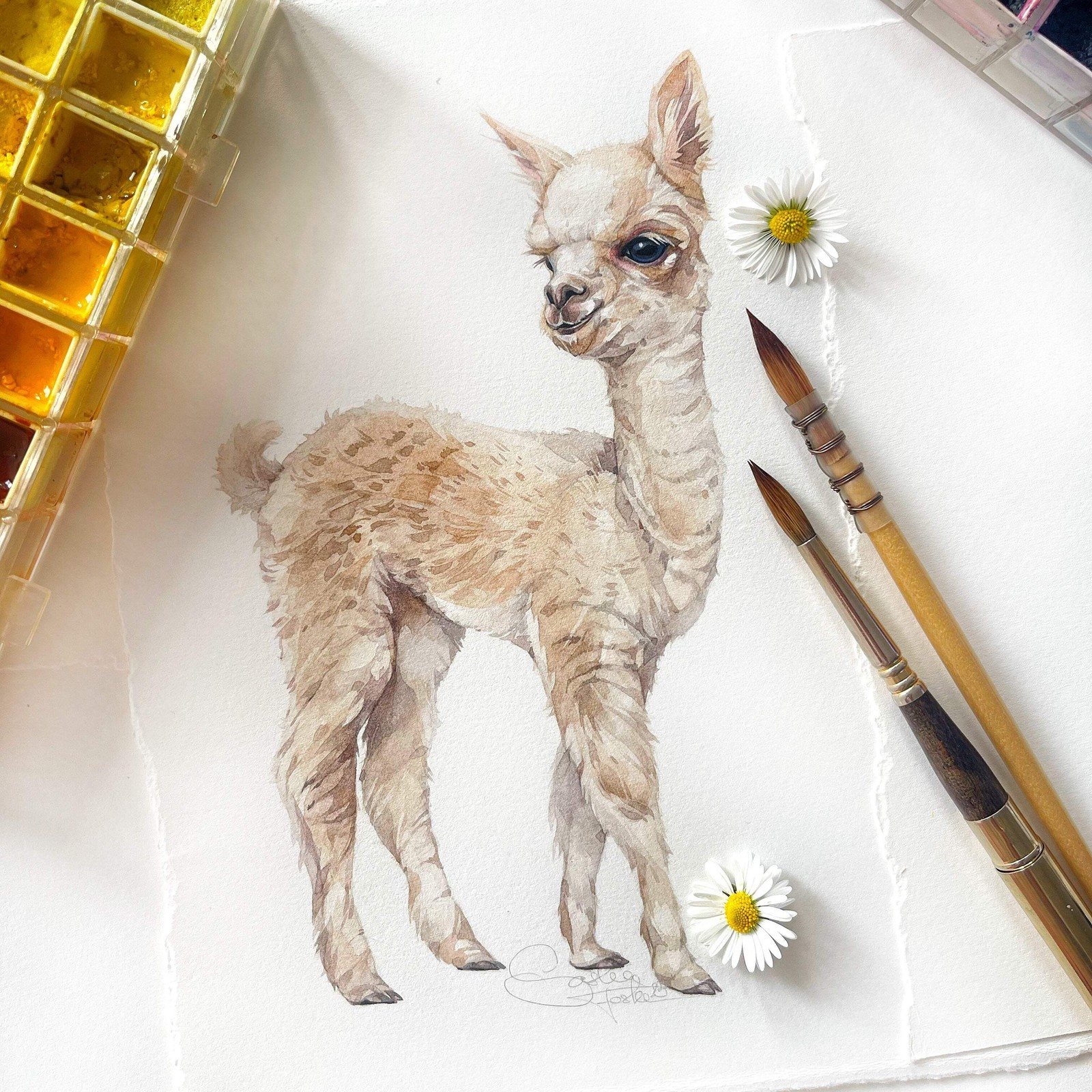 Original Watercolor Baby Alpaca 6×8 Painting Unique Artwork Small Wall Art