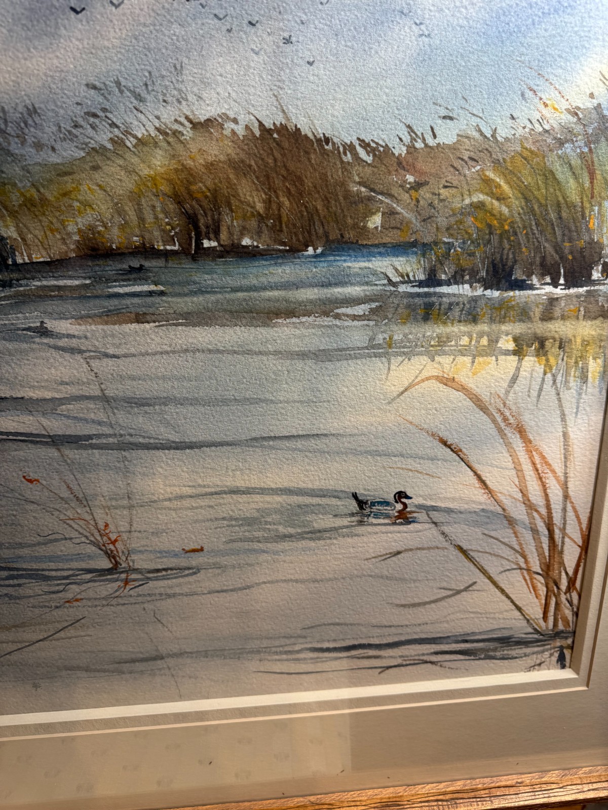 Katherine Ross Signed Original Watercolor Setting the Decoys Duck Hunting Framed