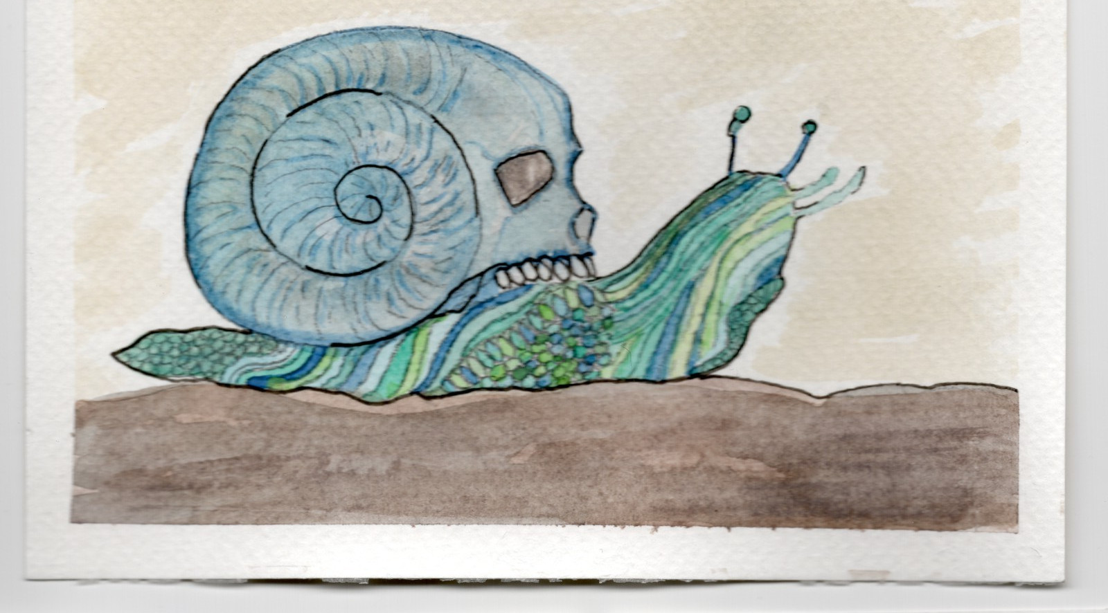 ACEO Limited Edition Art Print Nature Numbered Prints Watercolor Ink 1 of 12