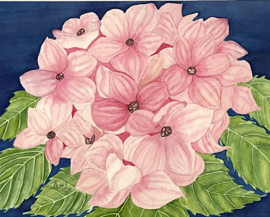 PAINTING WATERCOLOR 11X14 AND MAT 16X20 FLOWER HYDRANGEA PINK GREEN ORIGINAL ART
