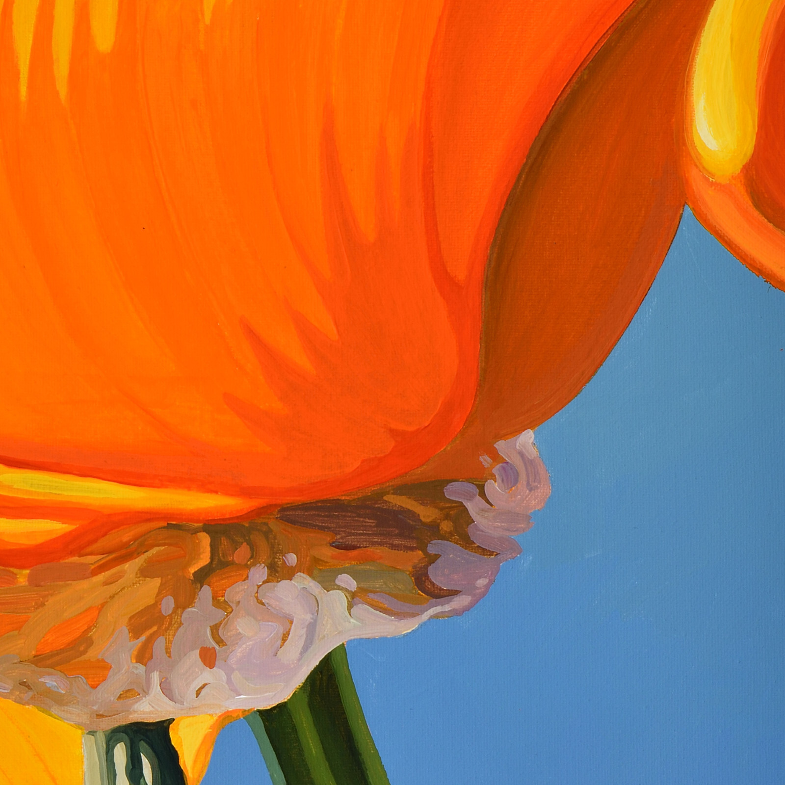 Alex Nizovsky — CALIFORNIAN POPPY #8 — Modern / Pop Art Floral Painting 18″x24″