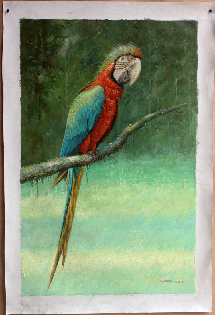 Original oil on canvas a macaw animal oil painting on canvas 20″x31″