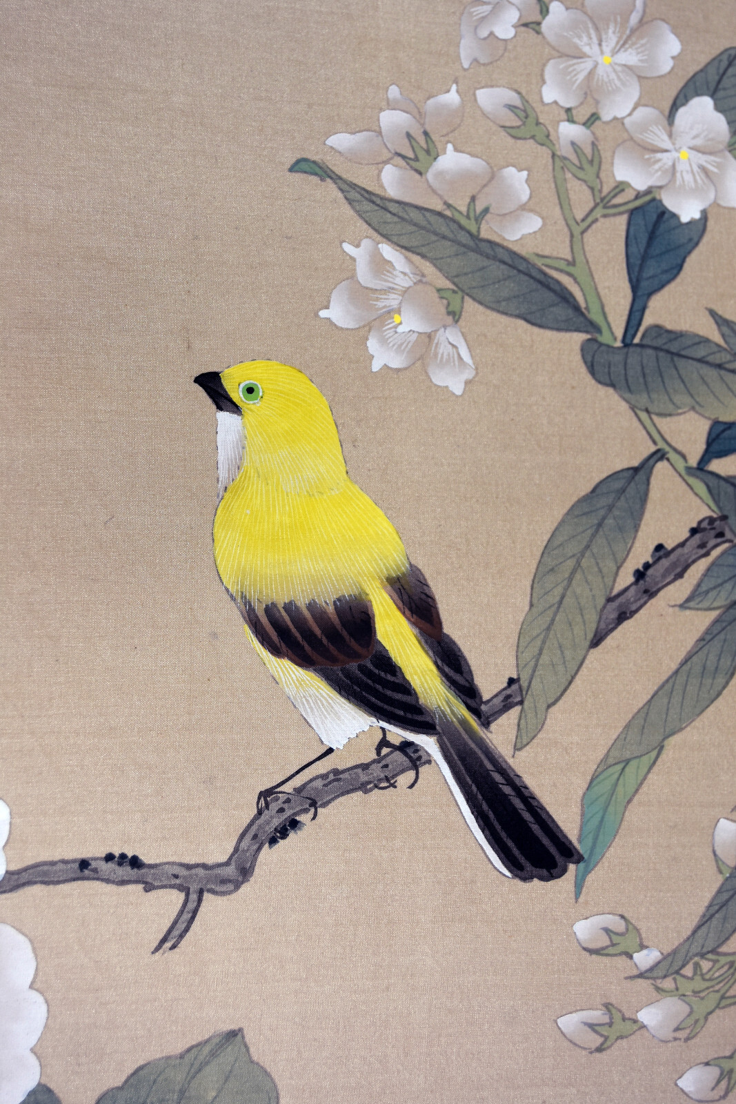24″ Antique Chinese Watercolor Painting Silk Yellow Bird Canary Pink Magnolia