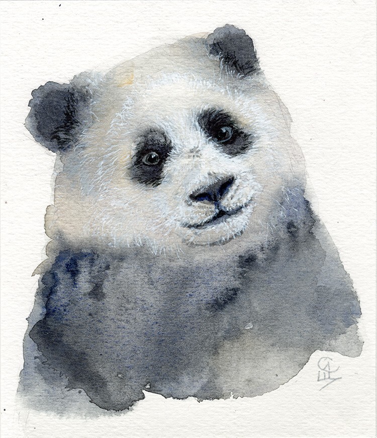 Original Miniature «Giant Panda» 22-0189 by s-lana 4,7 x 5.5 inches 12x14cm