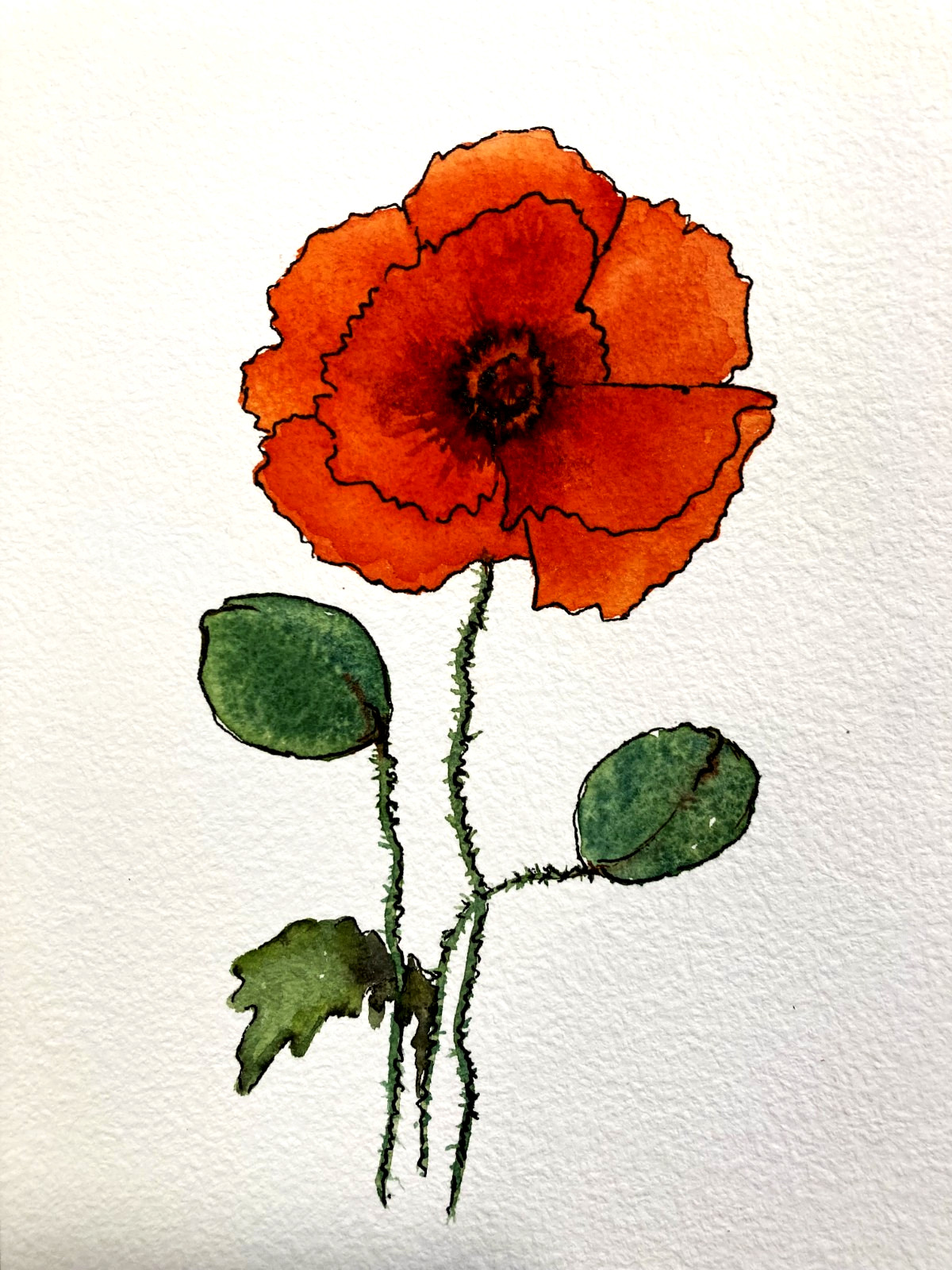 Poppy Flower Abstract Watercolor Original Art Painting Small