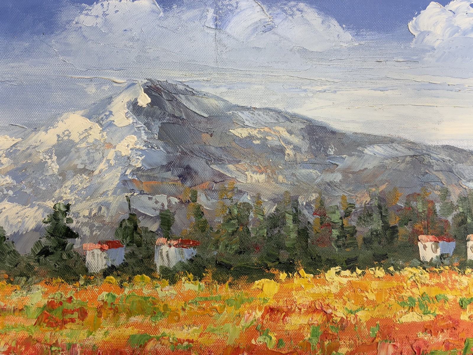 *Poppy Field with mountains* original hand painted on Canvas