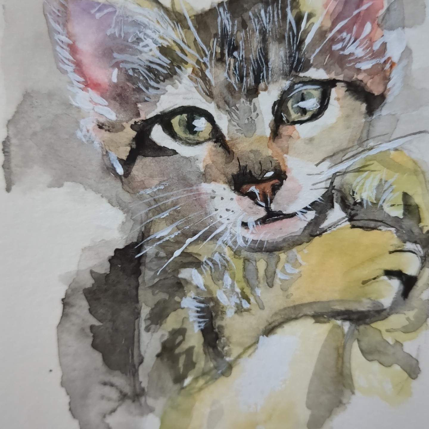 Original Watercolor Painting Cute Cat Portrait 4×5.5 by Jake J