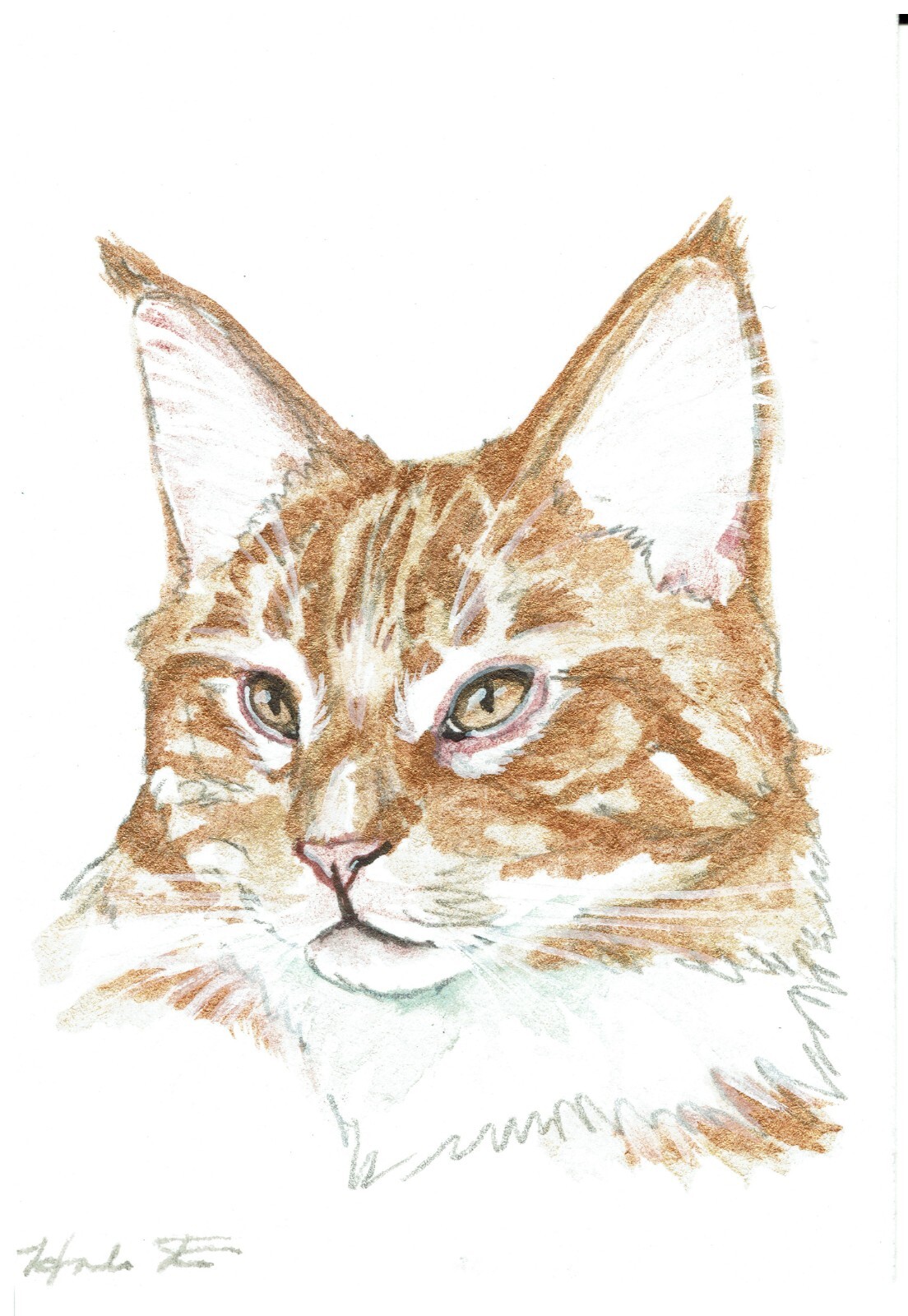 ACEO Original Watercolor Painting 2.5″x3.5″ Orange Tabby Kitty Cat Pet Portrait