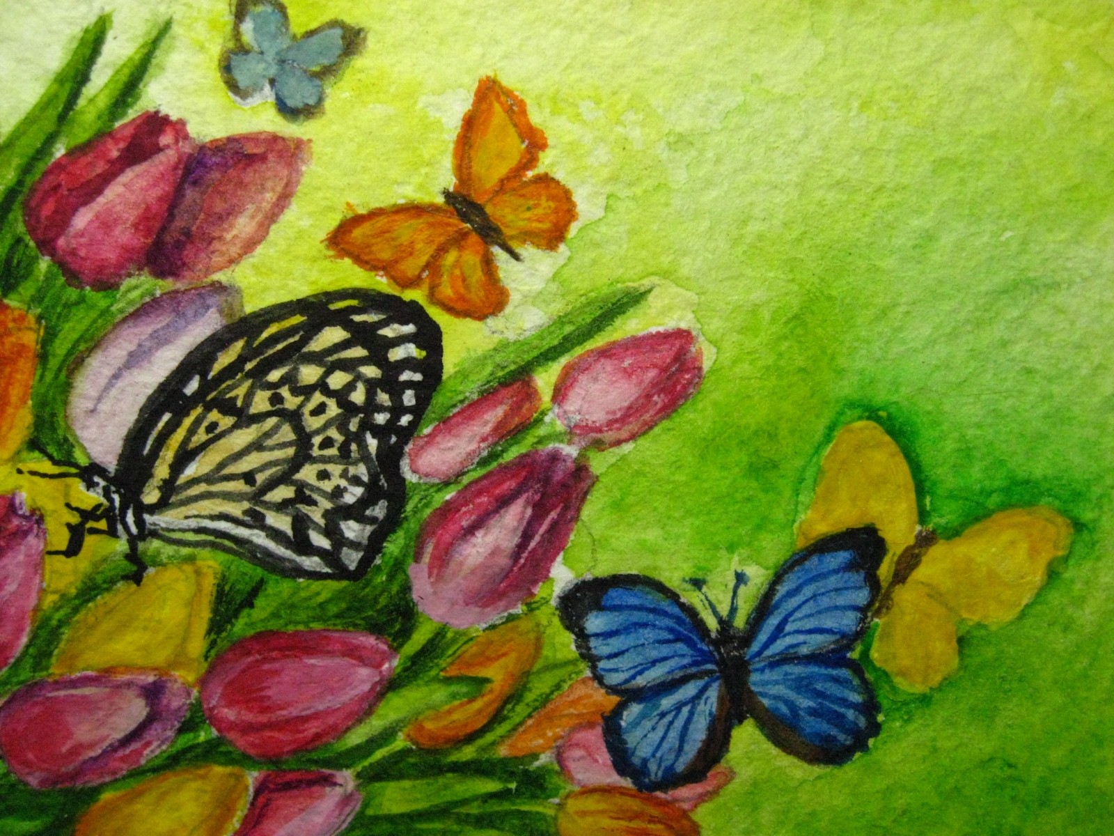 Watercolor Painting Butterfly Insect Tulip Flowers Nature Garden ACEO Art
