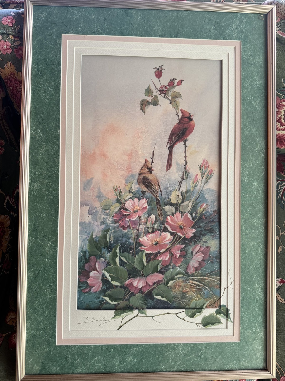 Vintage Ernestine Bucking Framed Cardinal Print-Still Life Hand Signed By Artist