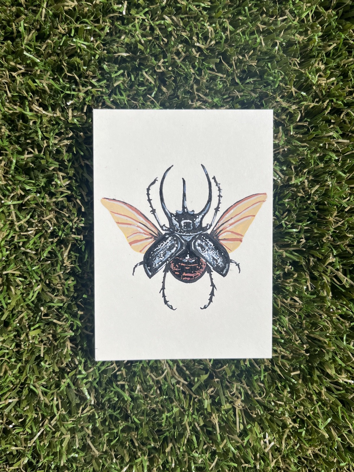 ACEO Art Card Original Beetle Insect «Specimen # 02» 2.5×3.5 in (2/3)