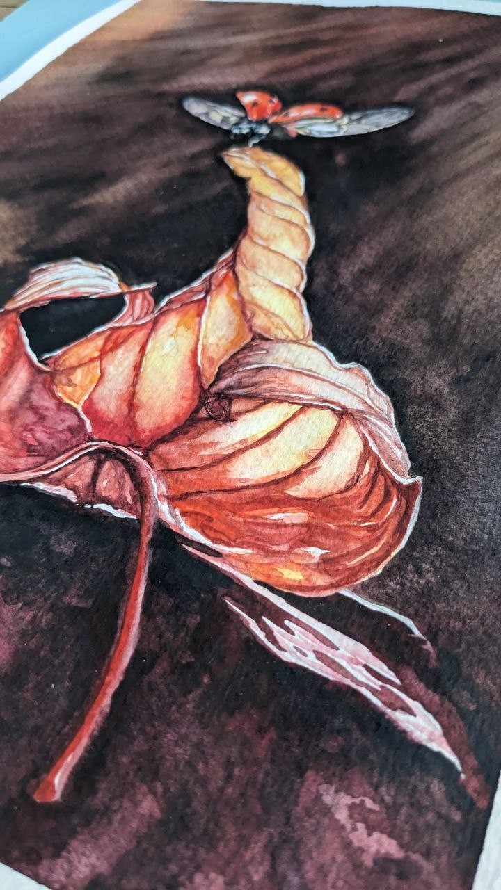 Autumn Orange Leaf & Ladybug Watercolor Painting Seasonal Fall Flying Insect Art