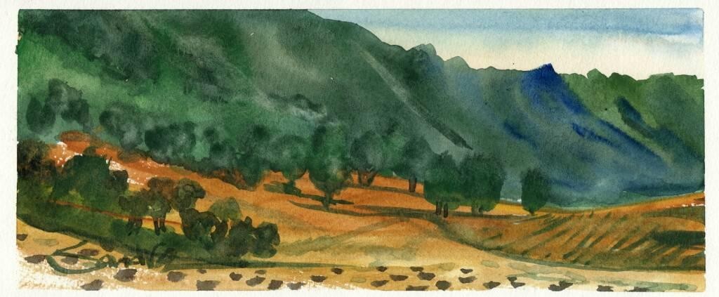 Ojai Orchard : SandraWatercolors™ California : ORIGINAL PAINTING Valley Trees