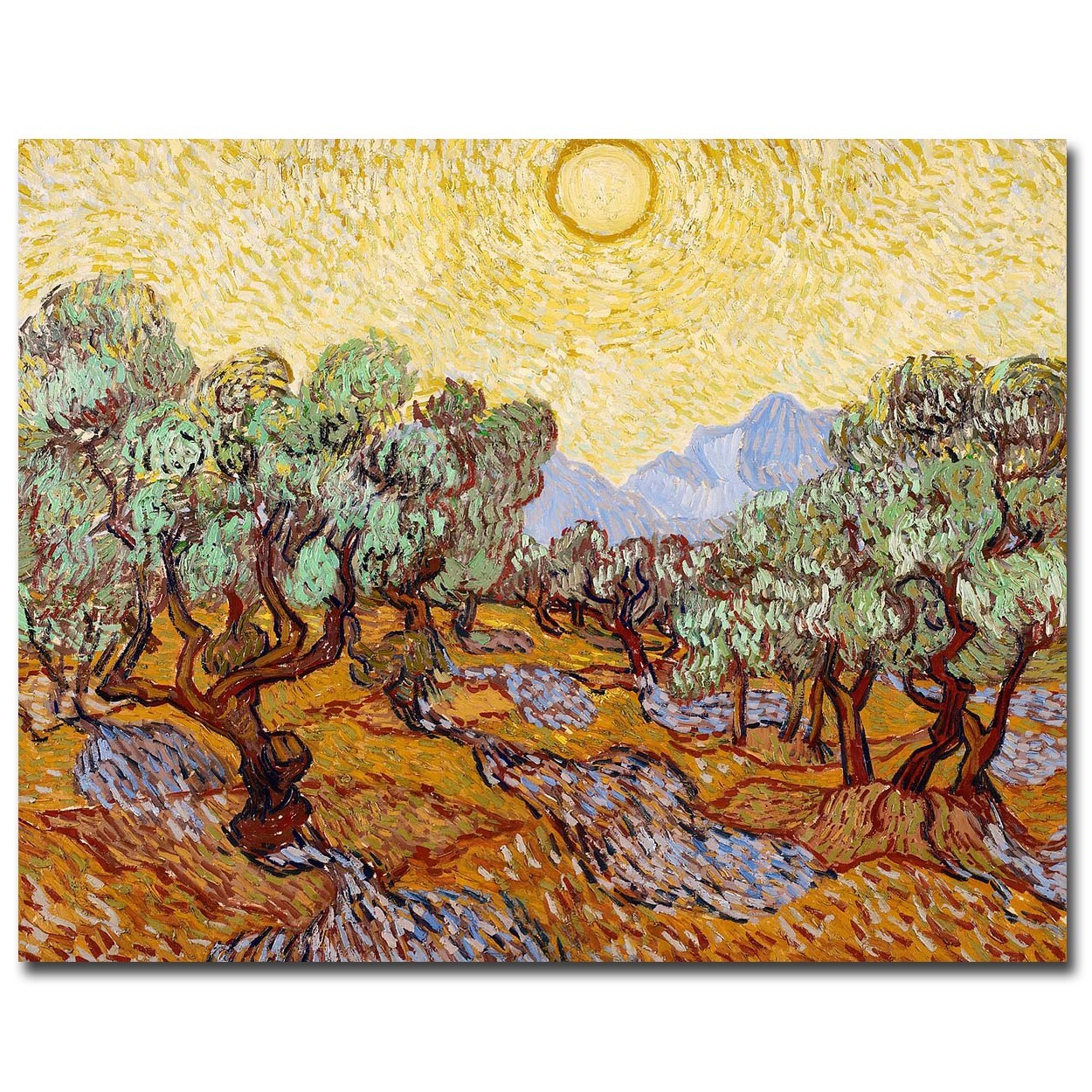 Olive Trees by Van Gogh Gallery Wrapped Canvas Giclee Art (33 in x 42 in)