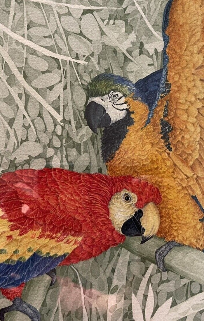 Original Watercolor by Beebe Mack. Parrots.