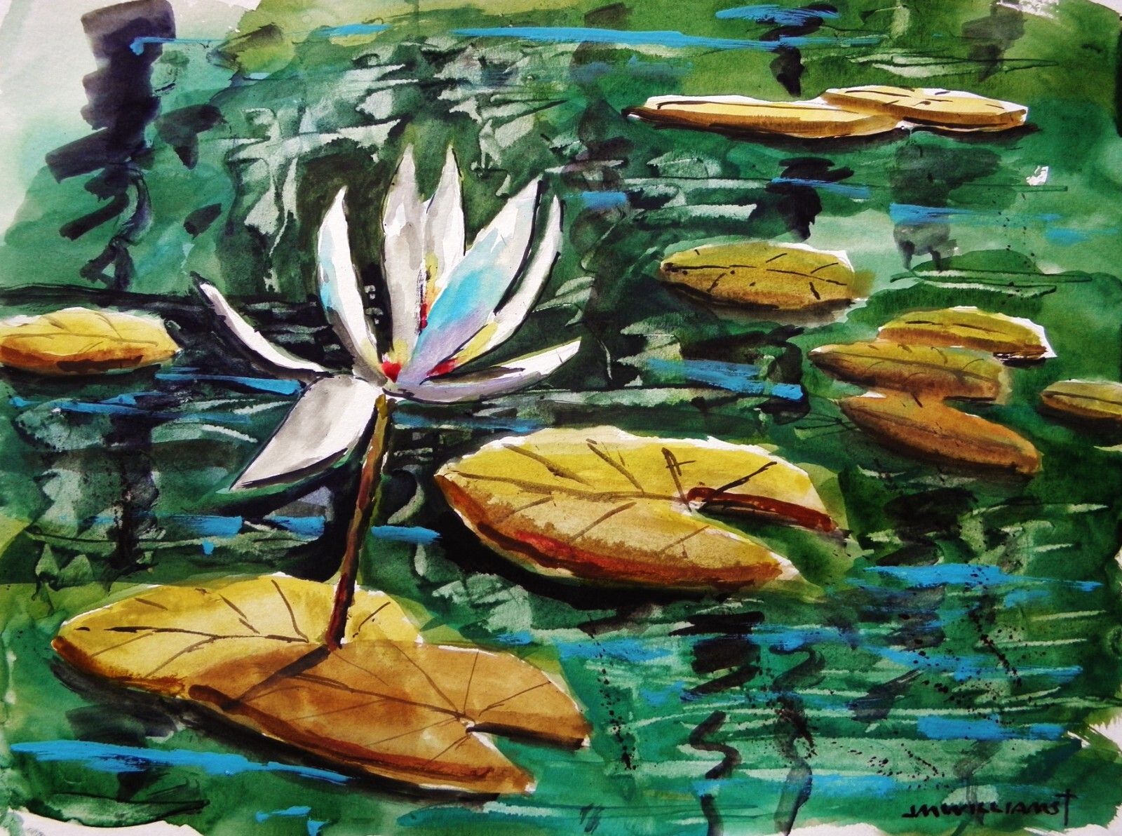 Lily Pads