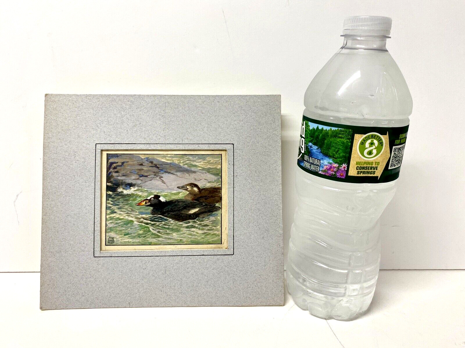Bruce Horsfall Original Miniature Bird/Duck Art Painting – Surf Scoter, Signed