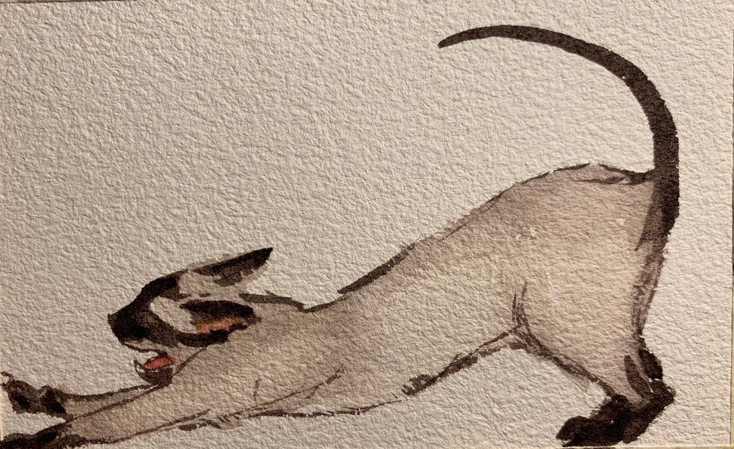 Siamese cat Original Watercolor Sleepy Stretching Yawning pet portrait wall art