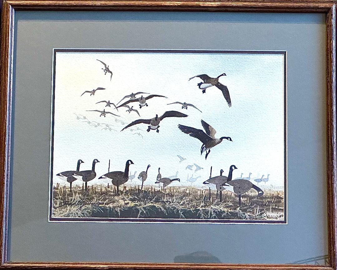 David Hagerbaumer Original Watercolor Painting Canadian Geese Framed 19″ X 23.5″