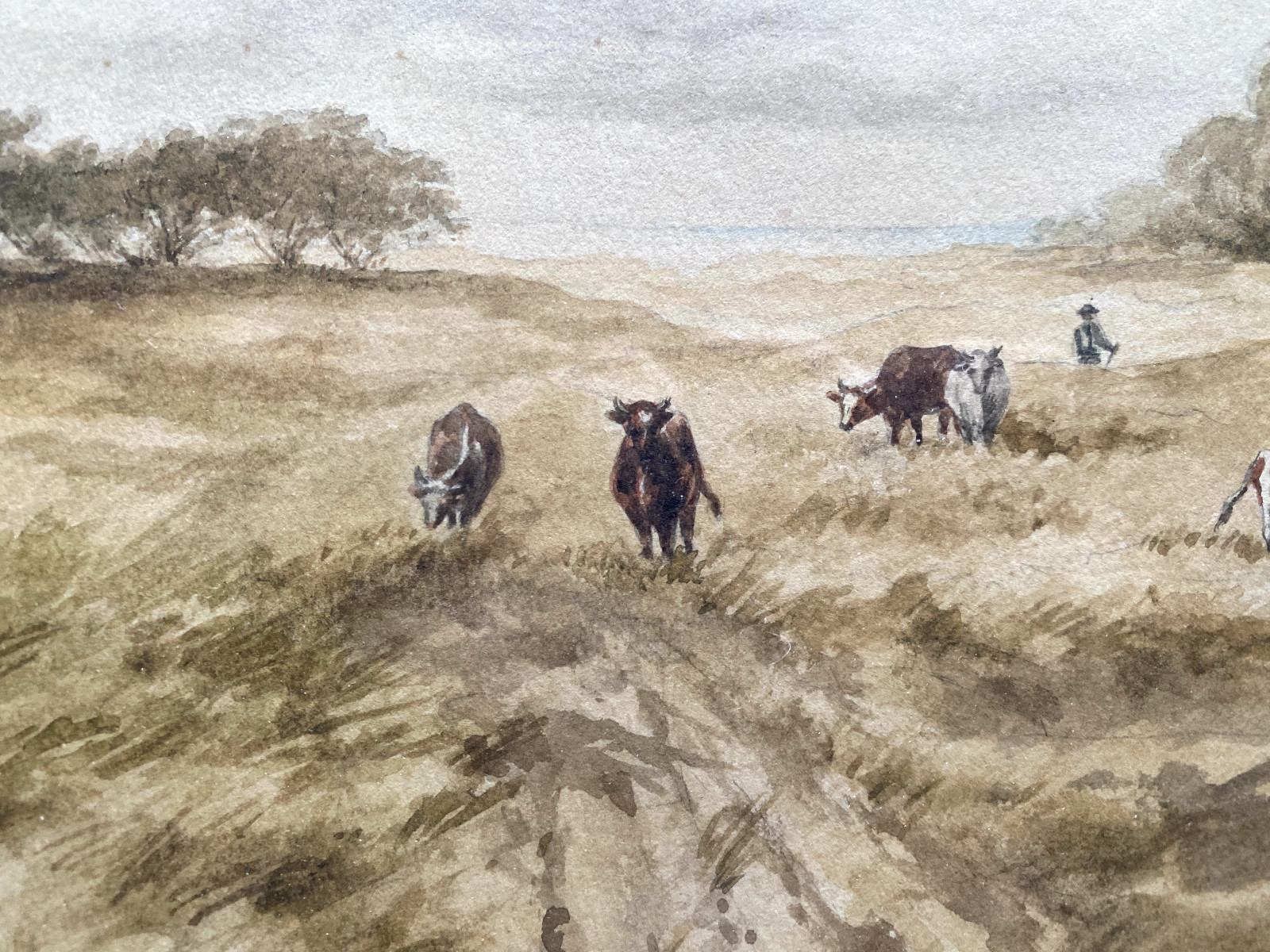 ::WATERCOLOUR °H. PIPE COWS ON PASTURE SEA ° BÜRGENSTOCK HOTEL STICKER VERSO ANTIQUE