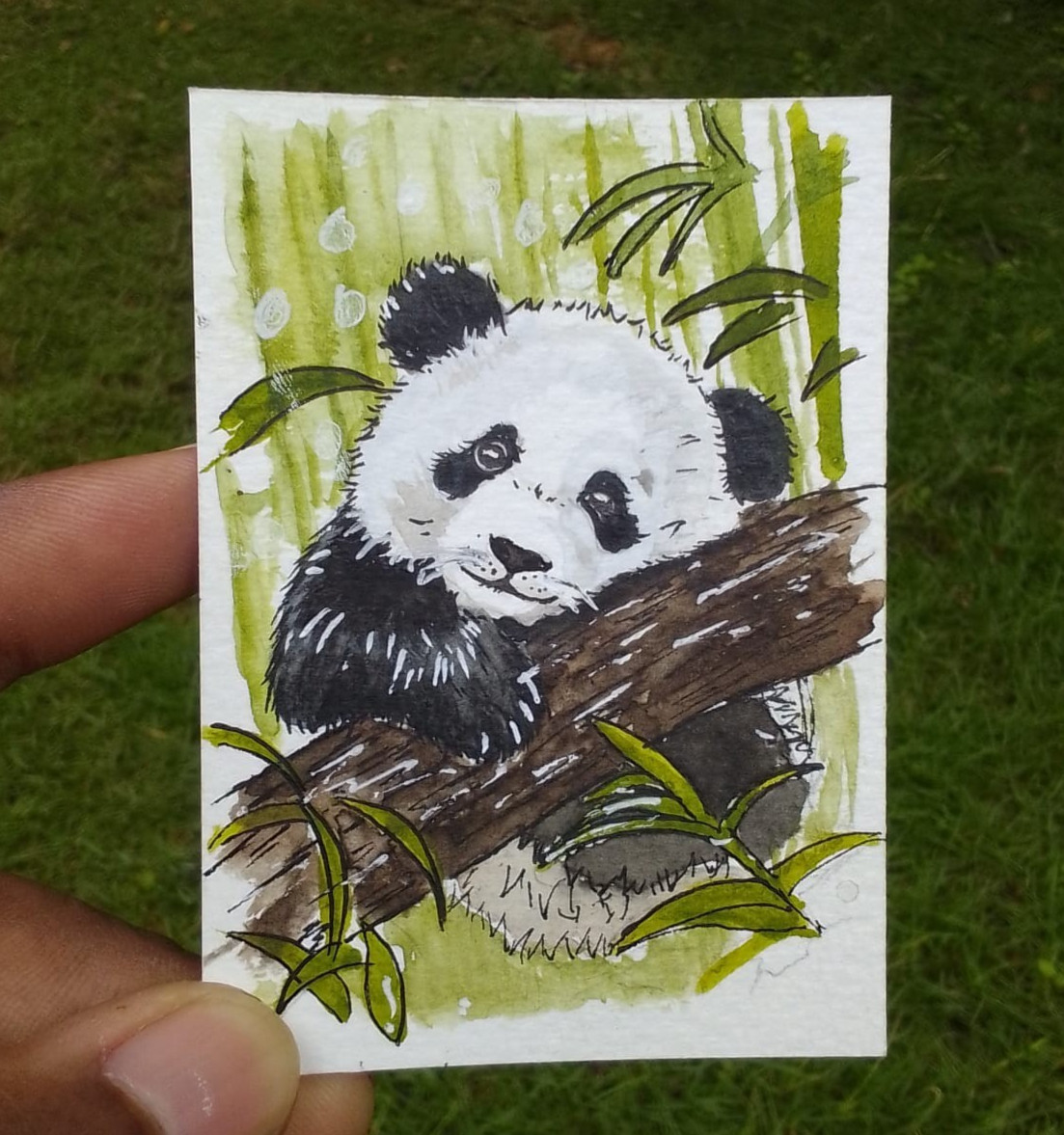ACEO Original Watercolor Painting Giant Panda Bear Bamboo Wildlife Art OOAK
