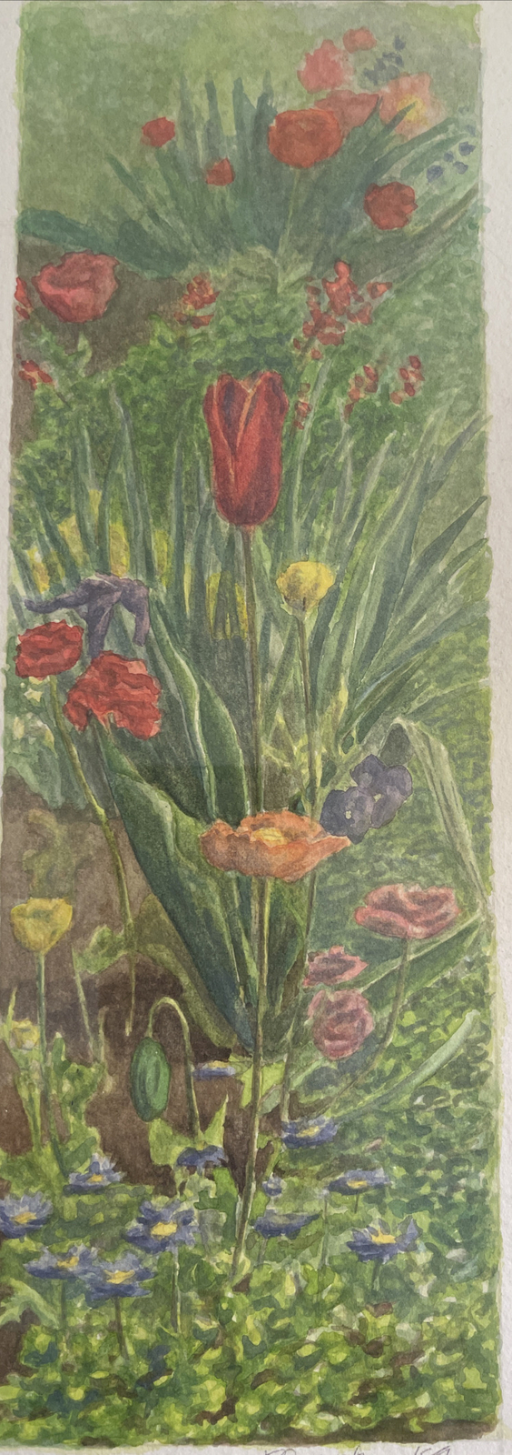 Vtg Original Watercolor Painting Flower Garden Signed J. Roepke Stegmaier Tulip